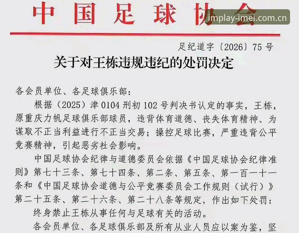 资深用户解读足协第三批禁足名单：一场足球反腐的深度审视